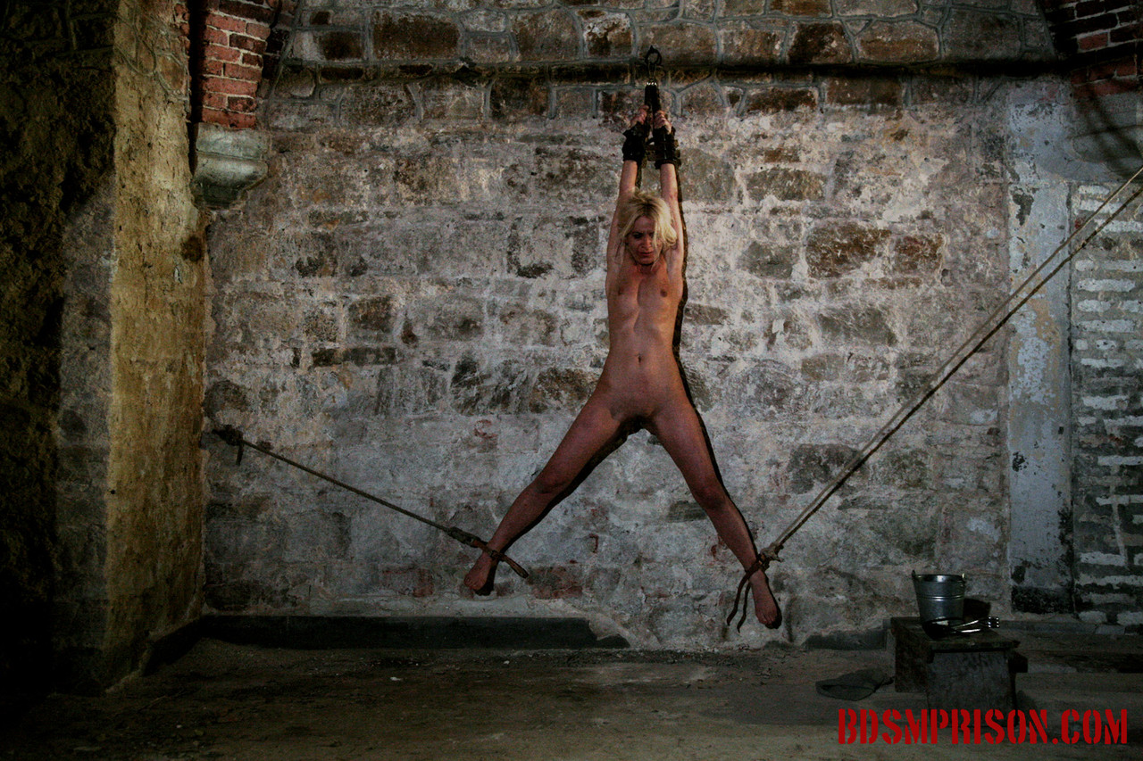 While being chained to a cellar wall, Mirela, an innocent blonde, is whipped by her captors.
