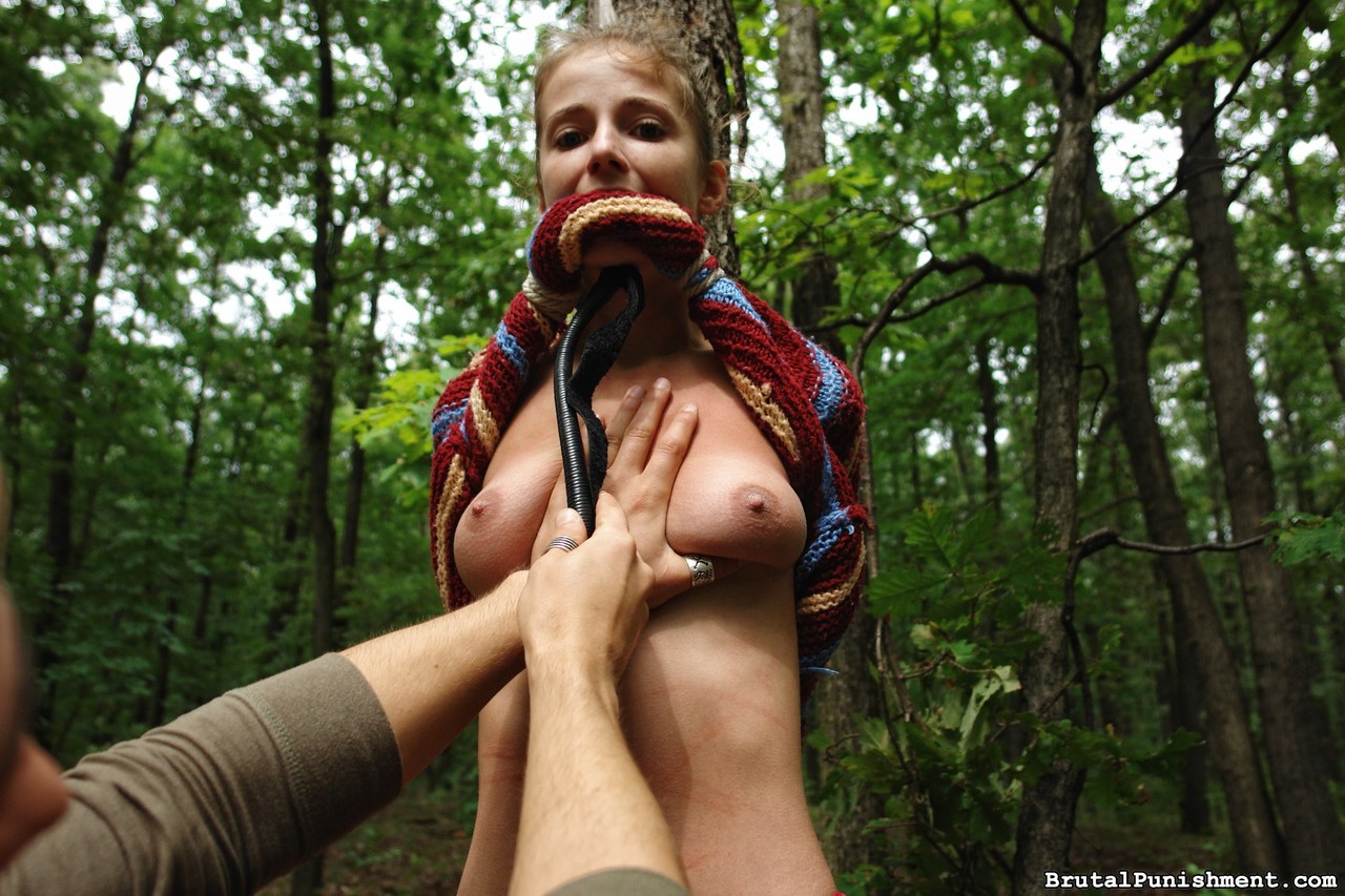 Petite blonde girl is flogged while tied to a tree in the forest ポルノ写真 #423412457 | Brutal Punishment Pics, Amy Shine, Spanking, モバイルポルノ