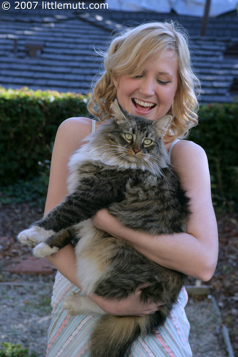 Blonde teen Kimber Clarkson hangs onto her cat before showing her tight slit porno fotoğrafı #429071597