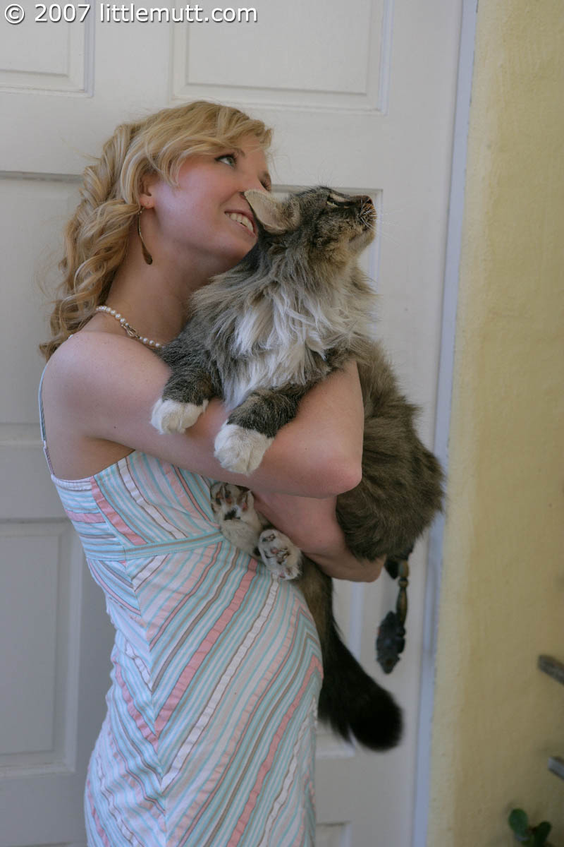 Blonde teen Kimber Clarkson hangs onto her cat before showing her tight slit ポルノ写真 #429071598