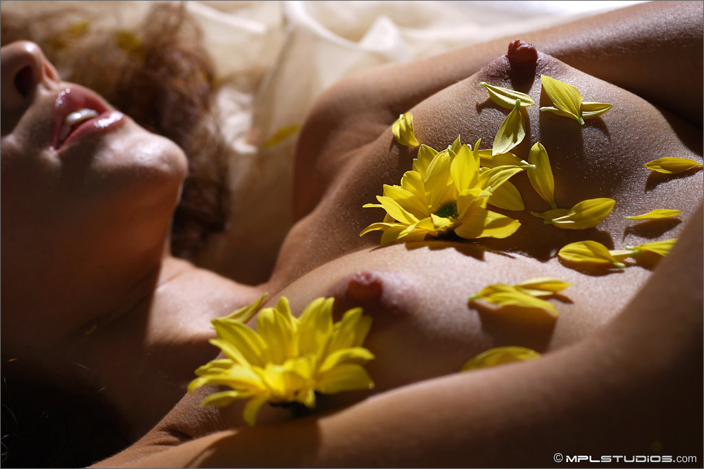Naked teen model covers her breasts and and hairless pussy with flower petals ポルノ写真 #427484210