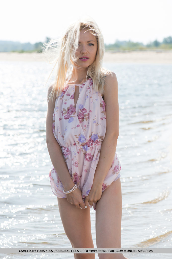 Blonde solo model slips off her dress and panties at the beach 色情照片 #425575642 | Met Art Pics, Camelia, Beach, 手机色情
