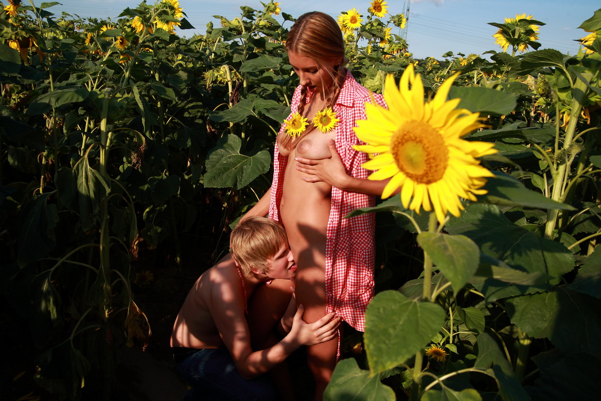 Behind the tall sunflower plants, these teens are able to hide their naughty porn photo #425474220