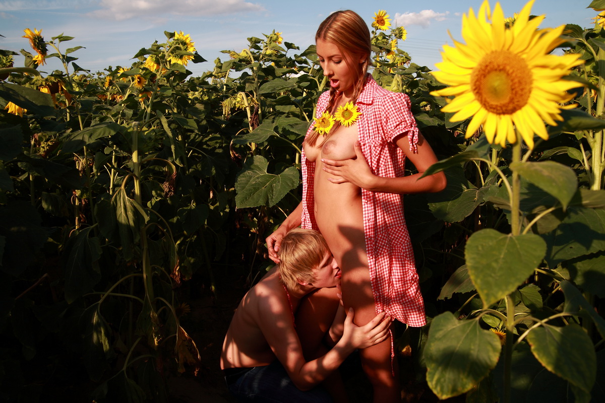 Behind the tall sunflower plants, these teens are able to hide their naughty foto pornográfica #425474222