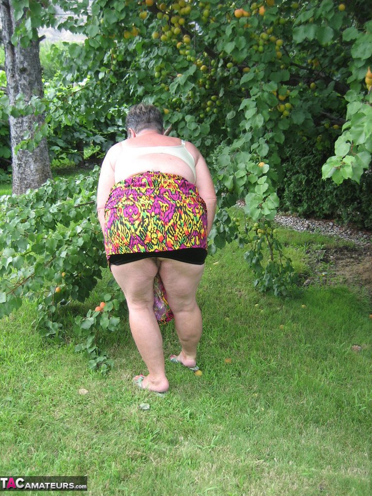 Fat granny Girdle Goddess exposes her large tits under a fruit bearing tree 色情照片 #425915578 | TAC Amateurs Pics, Girdle Goddess, Granny, 手机色情