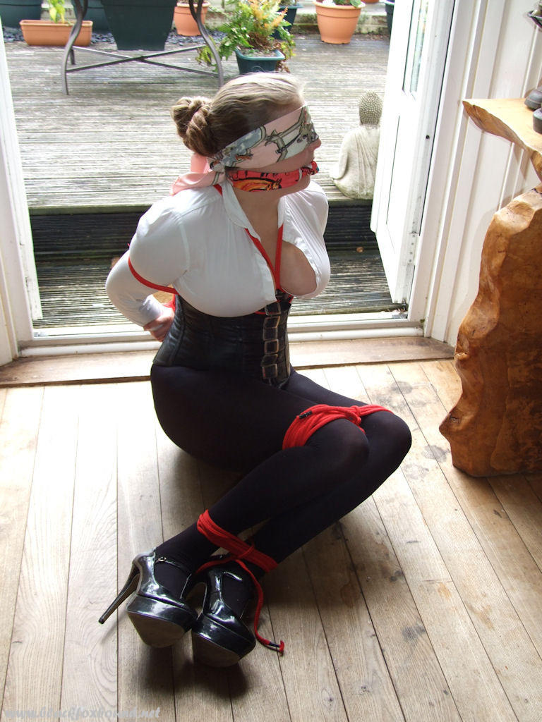 Blonde chick is left tied up, blindfolded and gagged inside front door foto porno #423798827 | Black Fox Bound Pics, Blindfold, porno ponsel