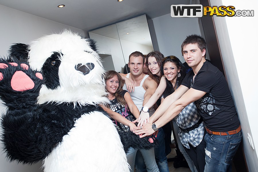 College students take part in hardcore group sex with the help of a panda bear porn photo #422485588