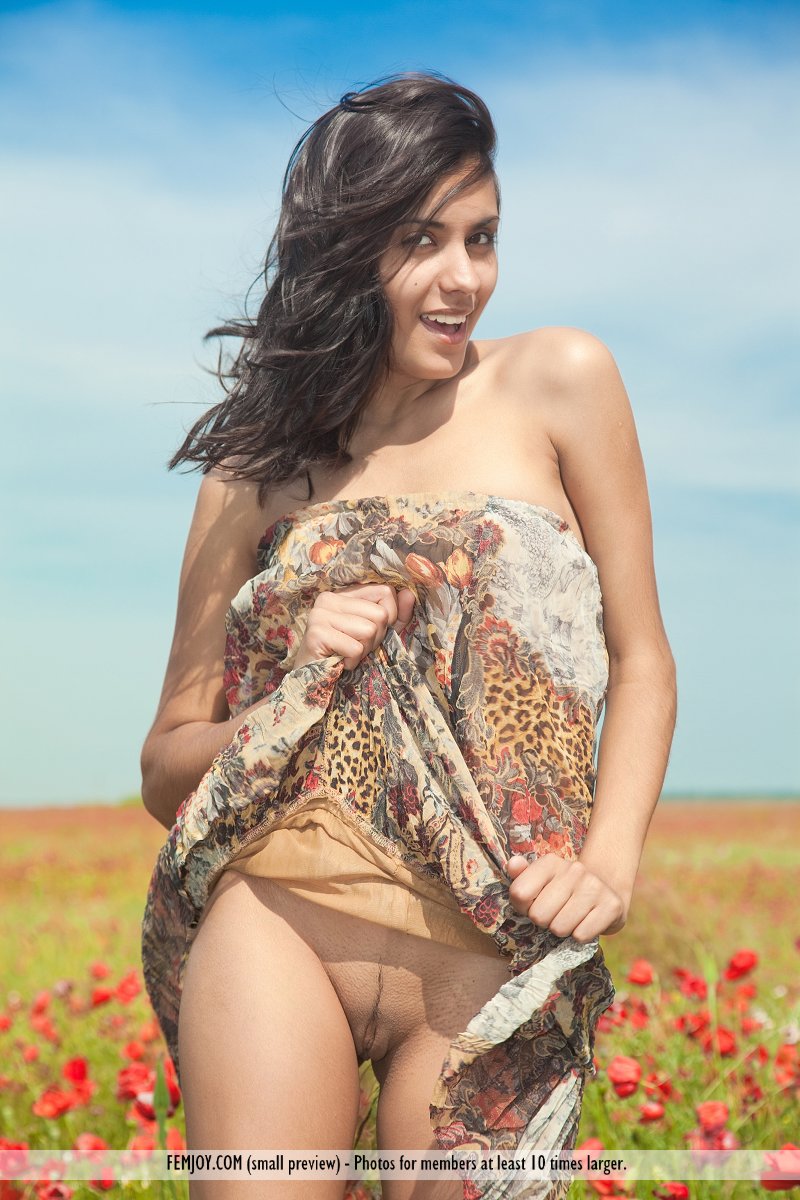 Young brunette Adrienne wanders bare naked in a field of poppies porn photo #426291031