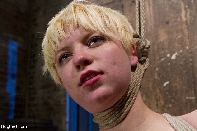 Welcome young and innocent Alani Pi to HogTied She is run though her paces in foto porno #428061932