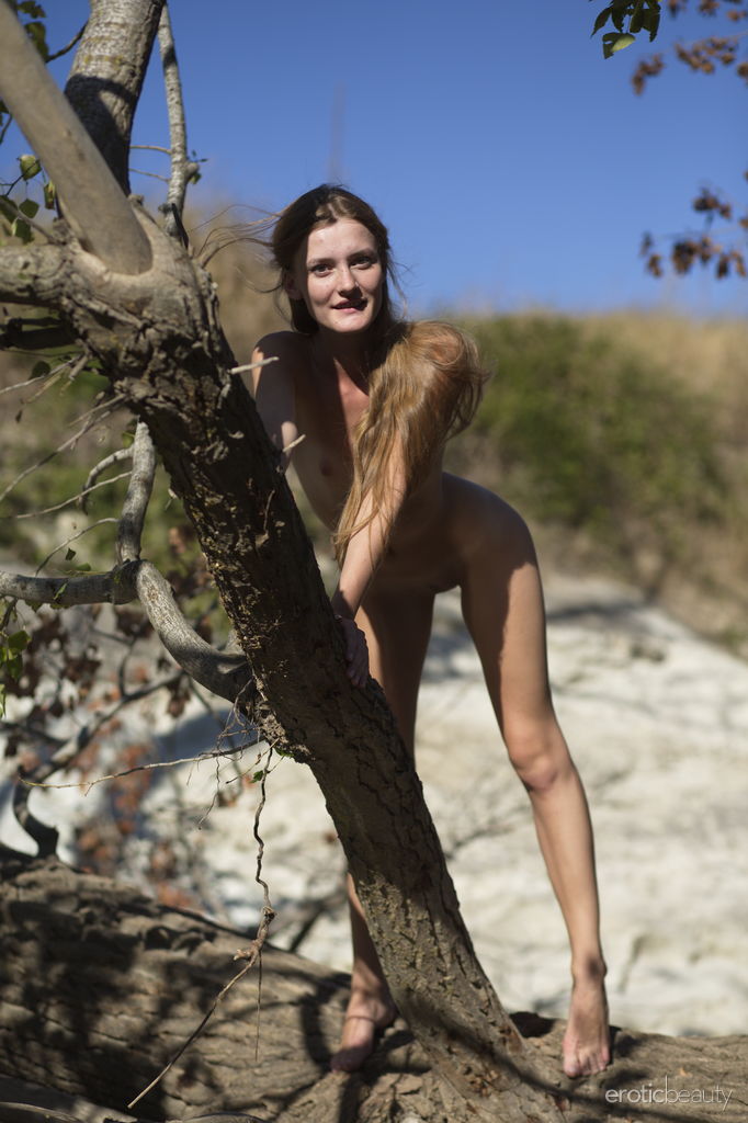 Teen solo girl Chova displays her skinny body on a fallen tree 포르노 사진 #427190881