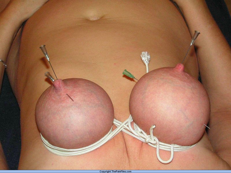 The Pain Files Needles on tits foto pornográfica #424985331