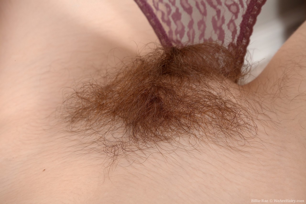 Nerdy girl Billie Rae shows her unshaven body in the nude with her glasses on porno foto #424608283 | We Are Hairy Pics, Billie Rae, Hairy, mobiele porno