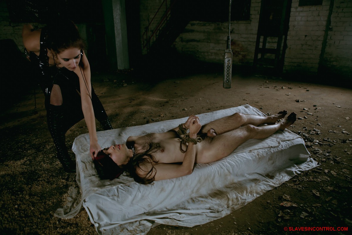Horny couple fucking under the strict supervision of their cruel dominatrix porn photo #428516223
