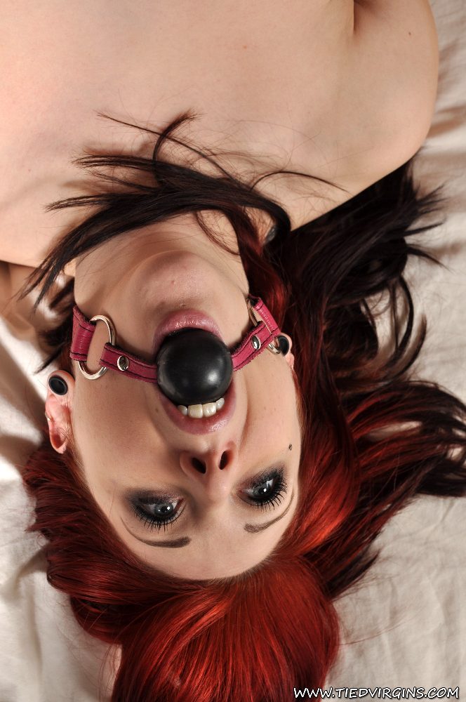 British pornstar Shay Hendrix tied like a piggy slut at Tied Virgins photo porno #427667934