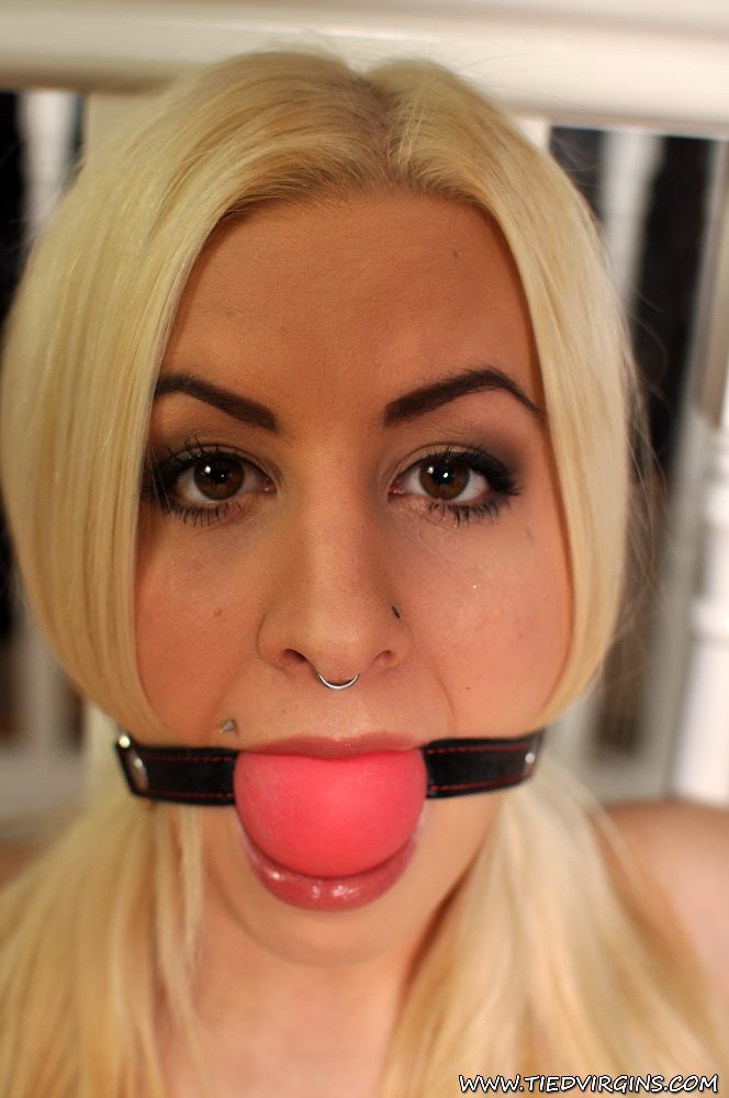 Tied Virgins Busty bitch tied up and gagged porn photo #428270569