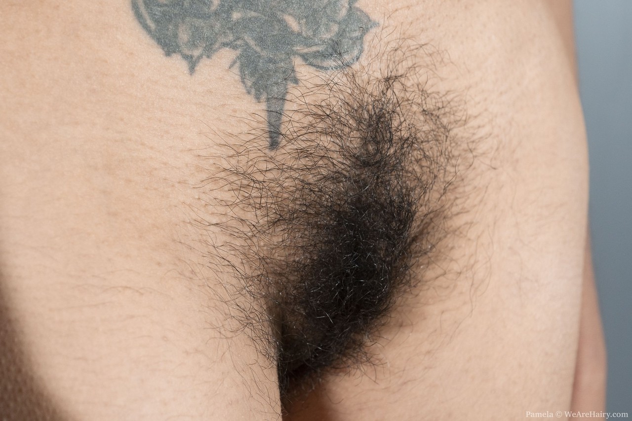 Amateur model Pamela bares her moist beaver after showing her furry underarms photo porno #427251868 | We Are Hairy Pics, Pamela, Hairy, porno mobile