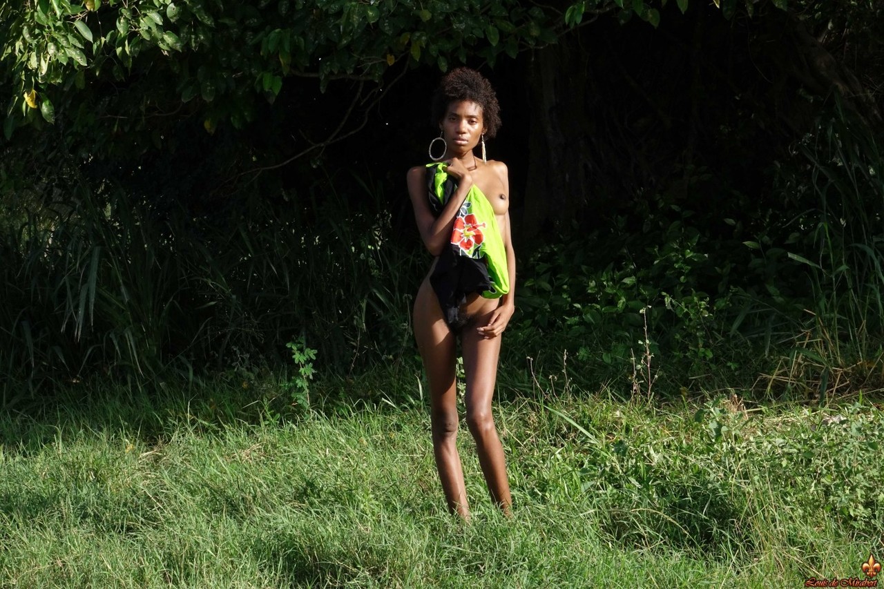 In front of an old cane mill invaded by a huge tree, the pretty black girl photo porno #427259540