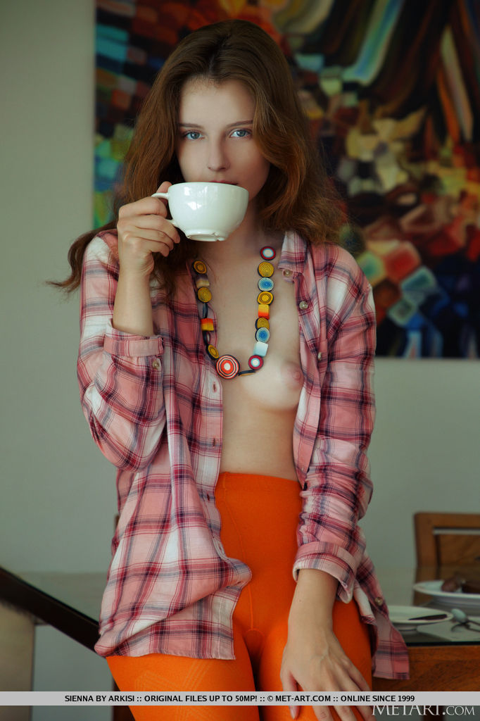 Young redhead Sienna removes orange tights on her way to getting totally naked ポルノ写真 #426478237 | Met Art Pics, Sienna, Tiny Tits, モバイルポルノ
