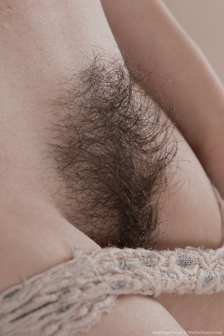 Hairy amateur Penelope Fiore sets her hairy twat free from lace panties porn photo #426969786