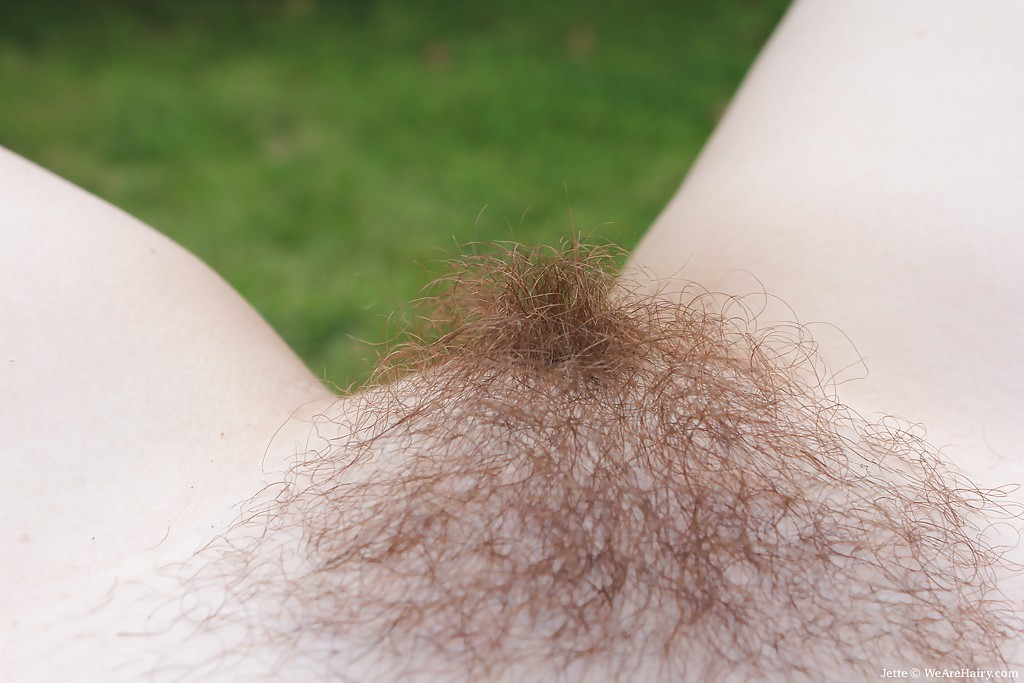 Chubby redhead babe stripping and exposing her hairy pussy outdoor photo porno #424331695 | We Are Hairy Pics, Jette, Outdoor, porno mobile