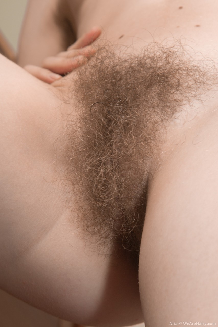 Brunette girl Aria shows her bushy beaver and rubs it in a solo 色情照片 #425715125 | We Are Hairy Pics, Aria, Hairy, 手机色情