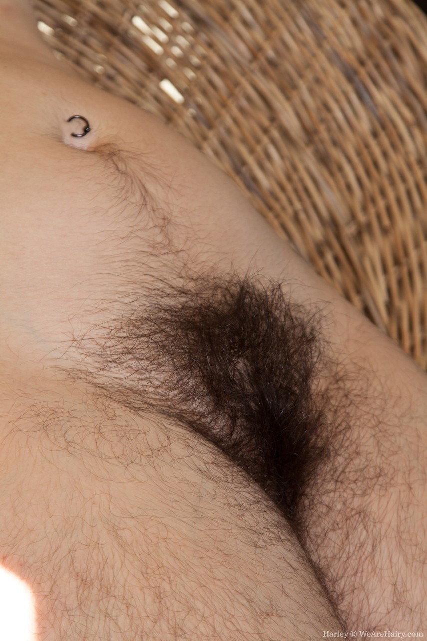 Amateur slut Harley shows off her freakishly hairy armpits & pussy on a chair zdjęcie porno #424071121 | We Are Hairy Pics, Harley, Hairy, mobilne porno