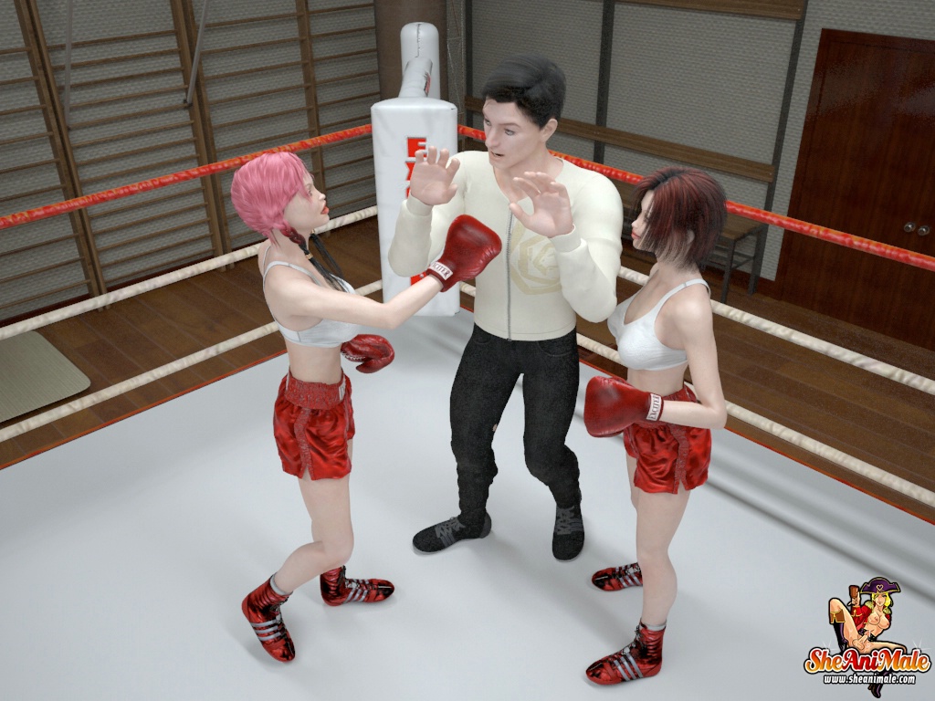 Shemale Boxing