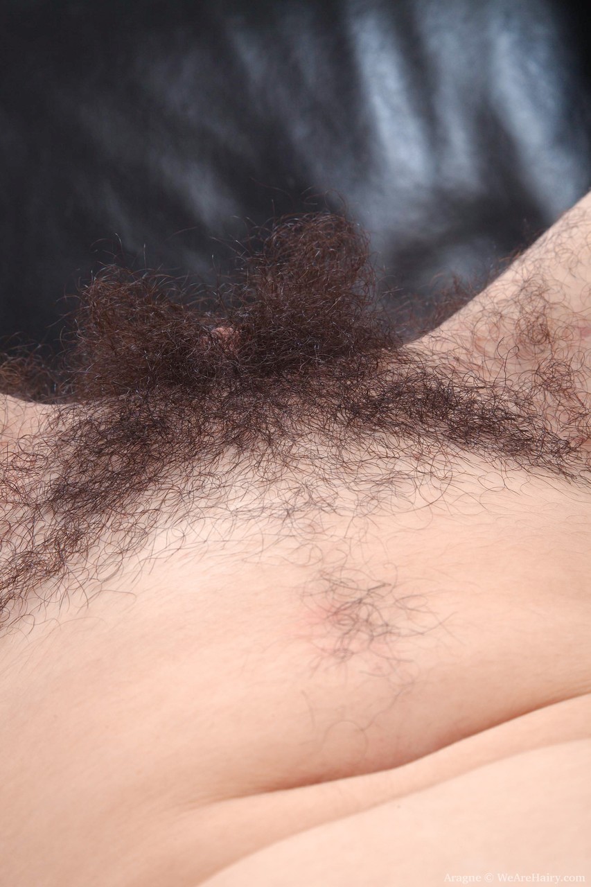 Brunette amateur Aragne displays her thickly hairy pussy up close foto porno #423871921 | We Are Hairy Pics, Aragne, Hairy, porno móvil