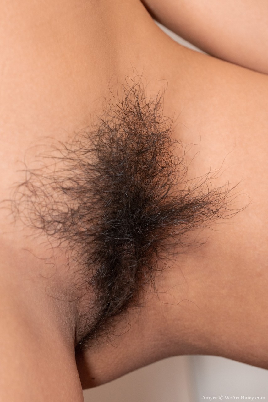 Charming amateur American Amyra reveals her natural boobs and furry cooch foto pornográfica #425122478 | We Are Hairy Pics, Amyra, Hairy, pornografia móvel