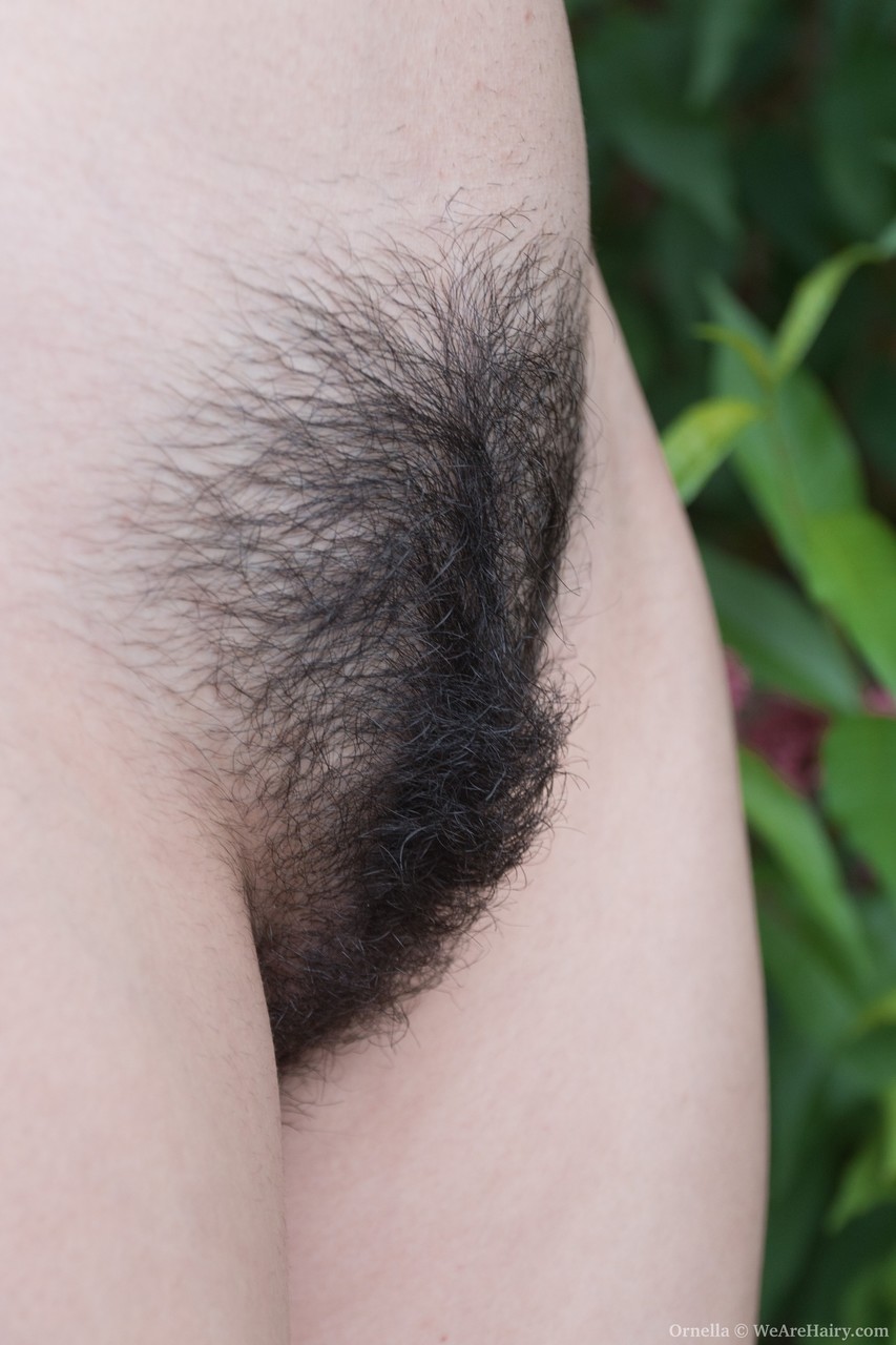 Stunning black haired Ornella peels outside showing perfect boobs & hairy cunt zdjęcie porno #424356303 | We Are Hairy Pics, Ornella, Hairy, mobilne porno