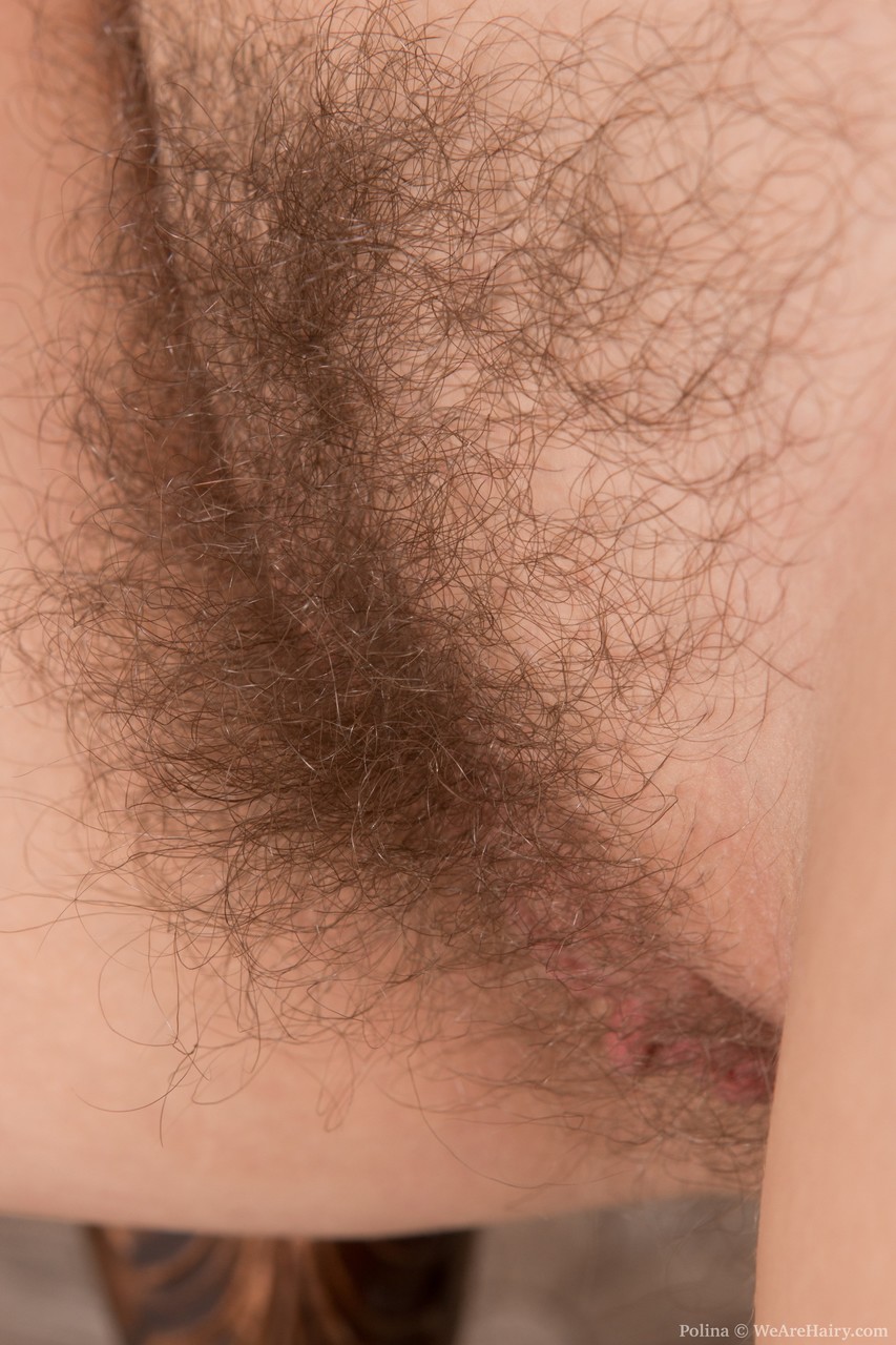 Naughty brunette Polina peels stockings & tugs on her hairy pussy curls 色情照片 #423862453 | We Are Hairy Pics, Polina, Hairy, 手机色情
