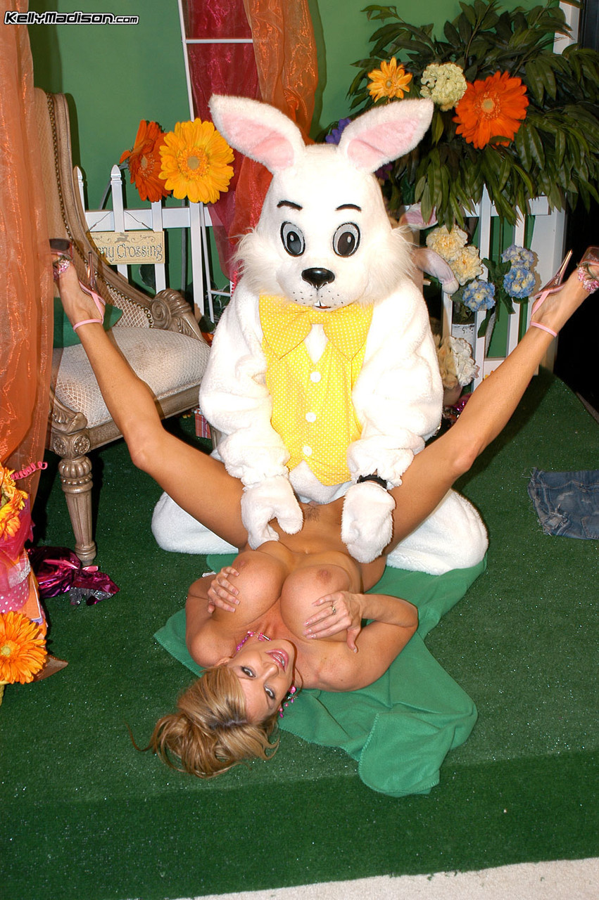 Busty hunter Kelly bangs a bunny for wild threesome with her hot blonde GF zdjęcie porno #426858140 | Kelly Madison Pics, MILF, mobilne porno