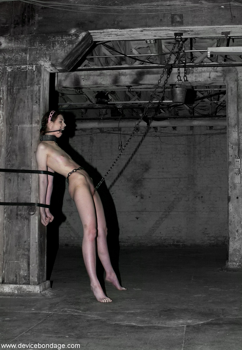 Young sub Kristine restrained with chains for punishment in metal bondage BDSM foto porno #429048197