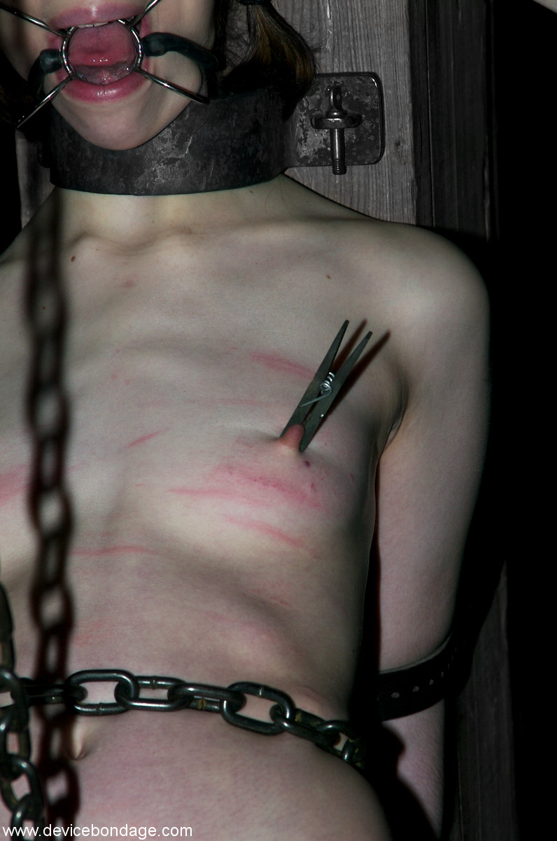 Young sub Kristine restrained with chains for punishment in metal bondage BDSM ポルノ写真 #429048306 | Device Bondage Pics, Kristine, BDSM, モバイルポルノ