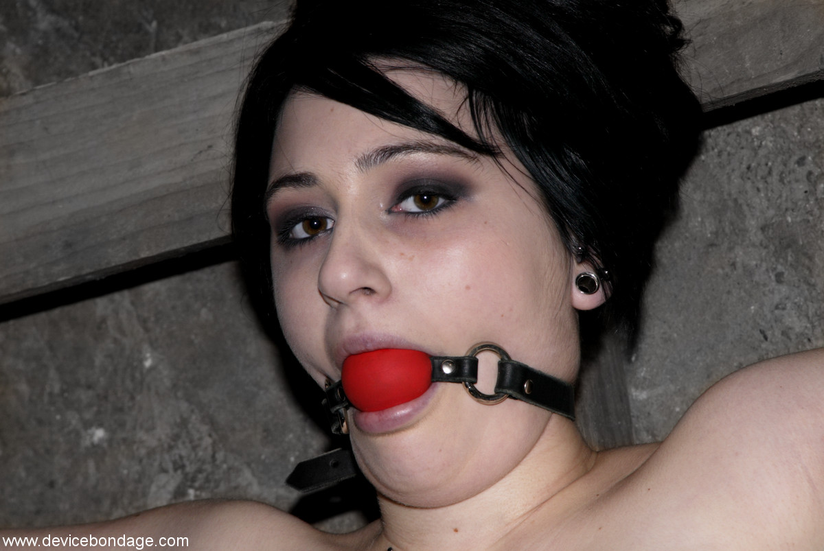 Dark haired Goth girl endures a bondage session while ball gagged 포르노 사진 #429047155
