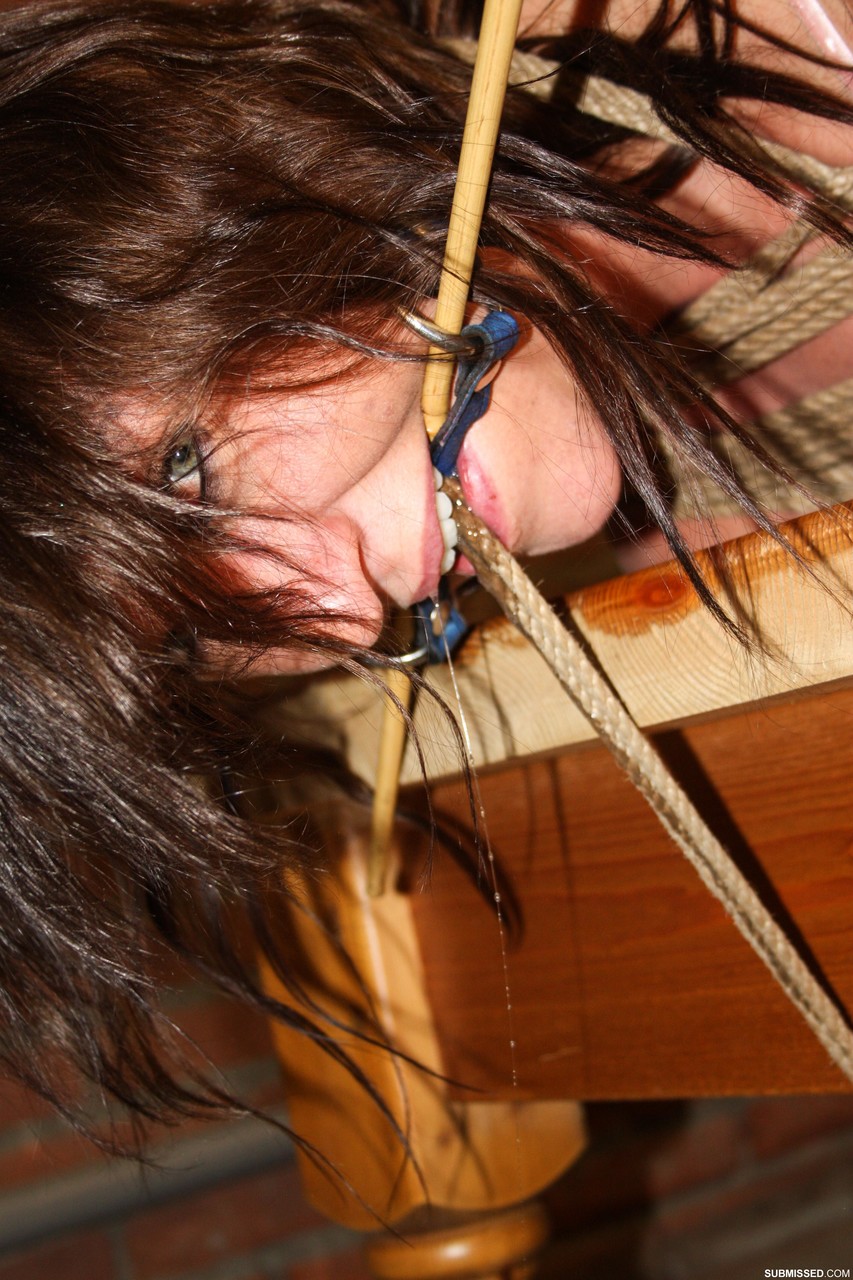 Brunette female DD is left bitgagged and hogtied with dirty feet on a table porn photo #426984263 | Submissed Pics, DD, Bondage, mobile porn