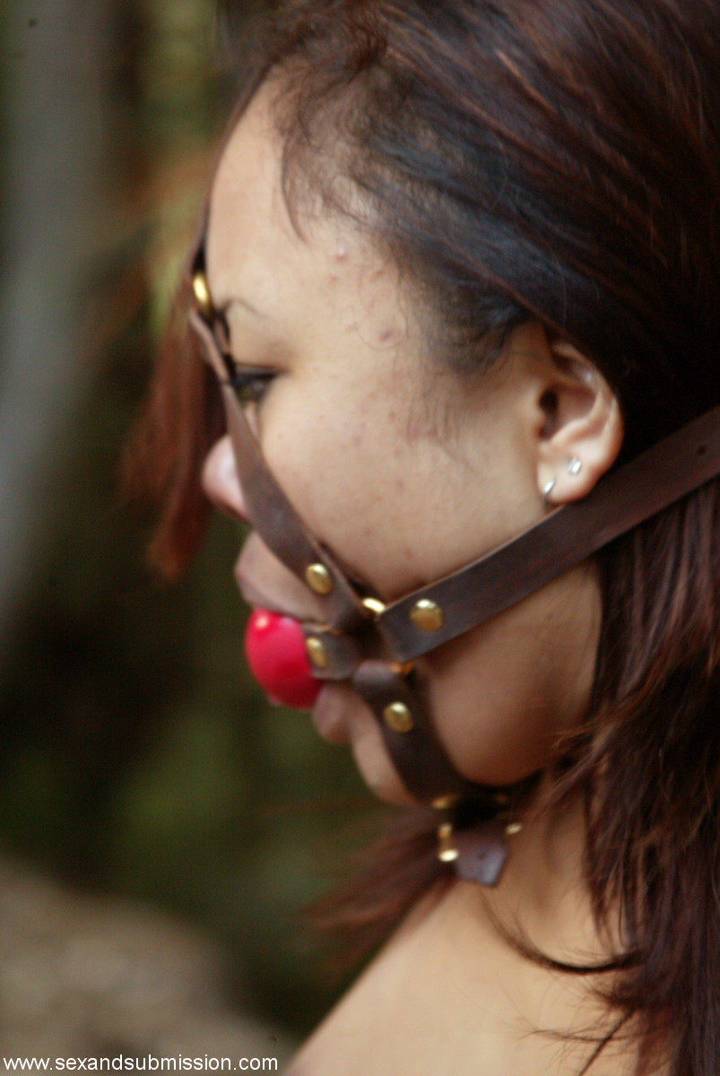 Men cum on Annie Cruz's tits and tie Asian slave with ball gag to a tree porn photo #426962709