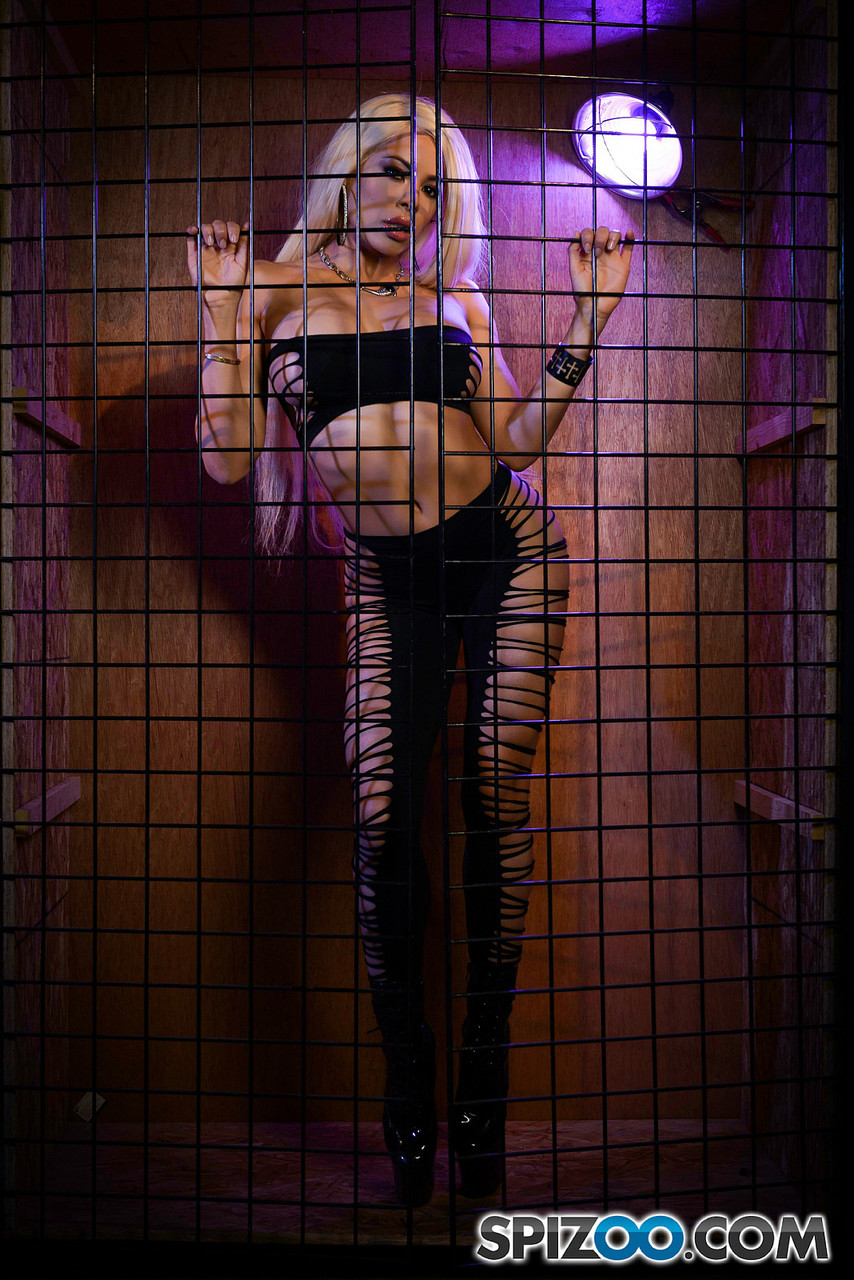 Attractive Latina Luna Star strips and shakes her hot booty in the cage zdjęcie porno #426674245 | Spizoo Pics, Kat Monroe, Luna Star, Brazilian, mobilne porno