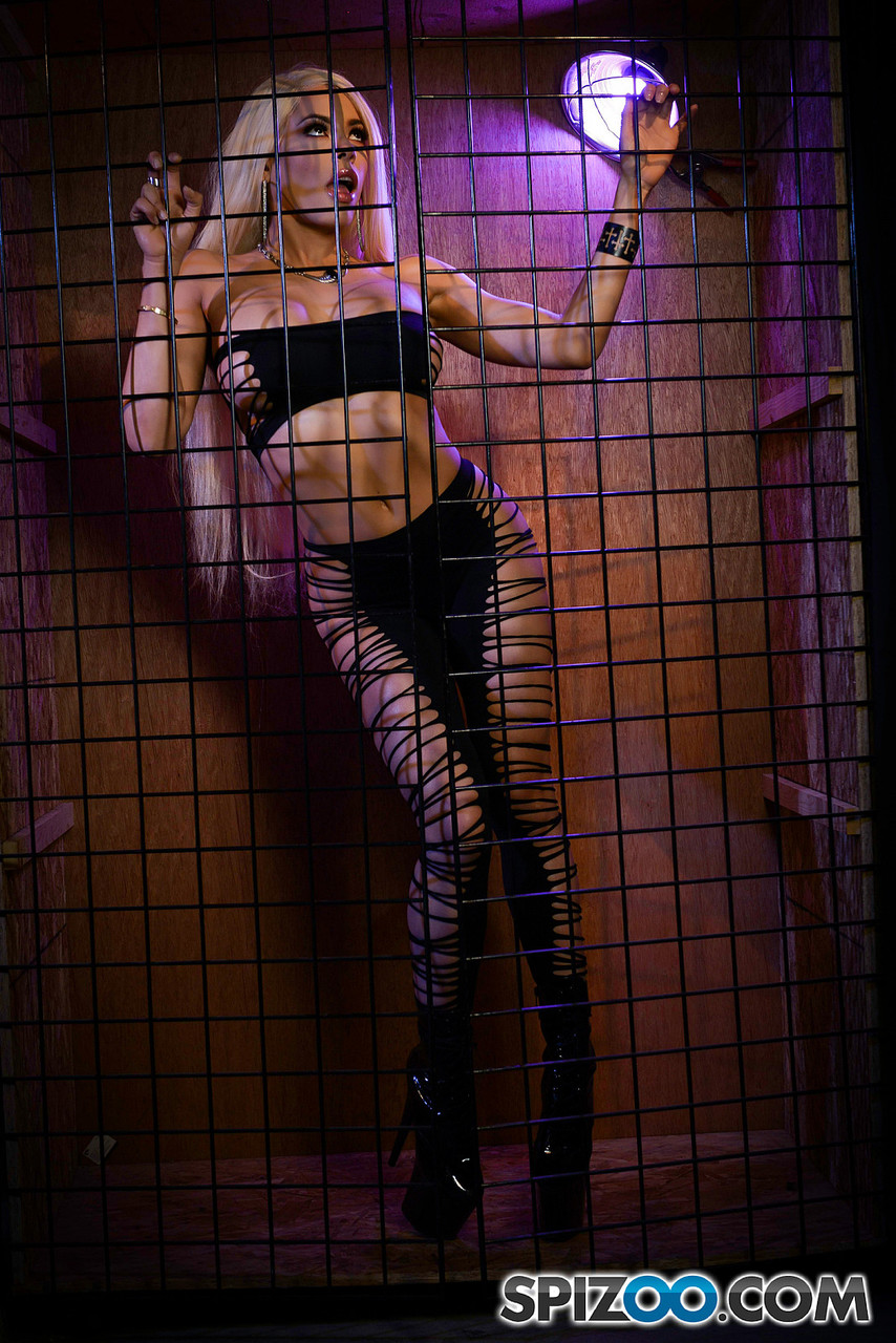 Attractive Latina Luna Star strips and shakes her hot booty in the cage zdjęcie porno #426674253 | Spizoo Pics, Kat Monroe, Luna Star, Brazilian, mobilne porno