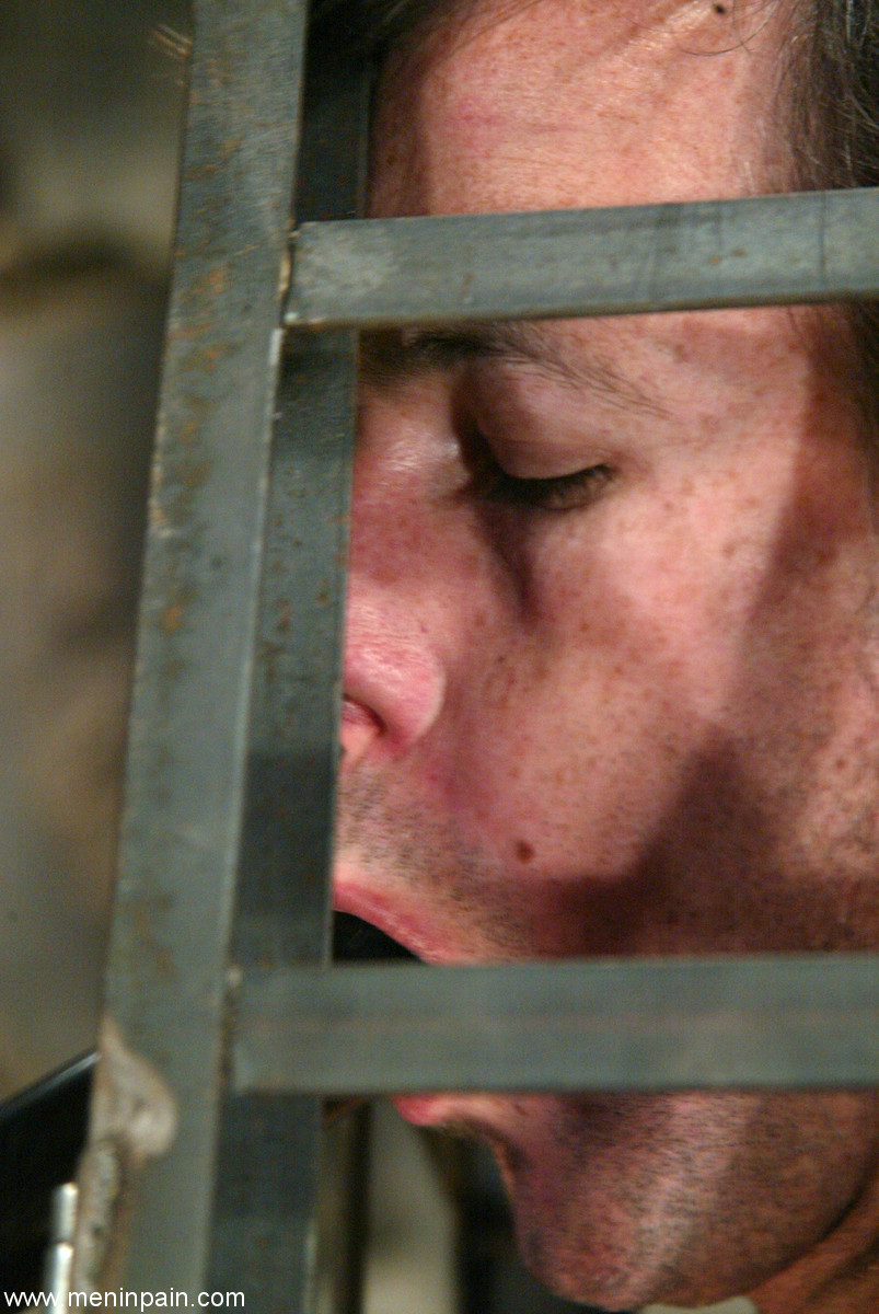 Dominant cougar Harmony has fun with obedient man locked in small cage foto pornográfica #425874558 | Men In Pain Pics, Harmony, Rob Armory, Femdom, pornografia móvel