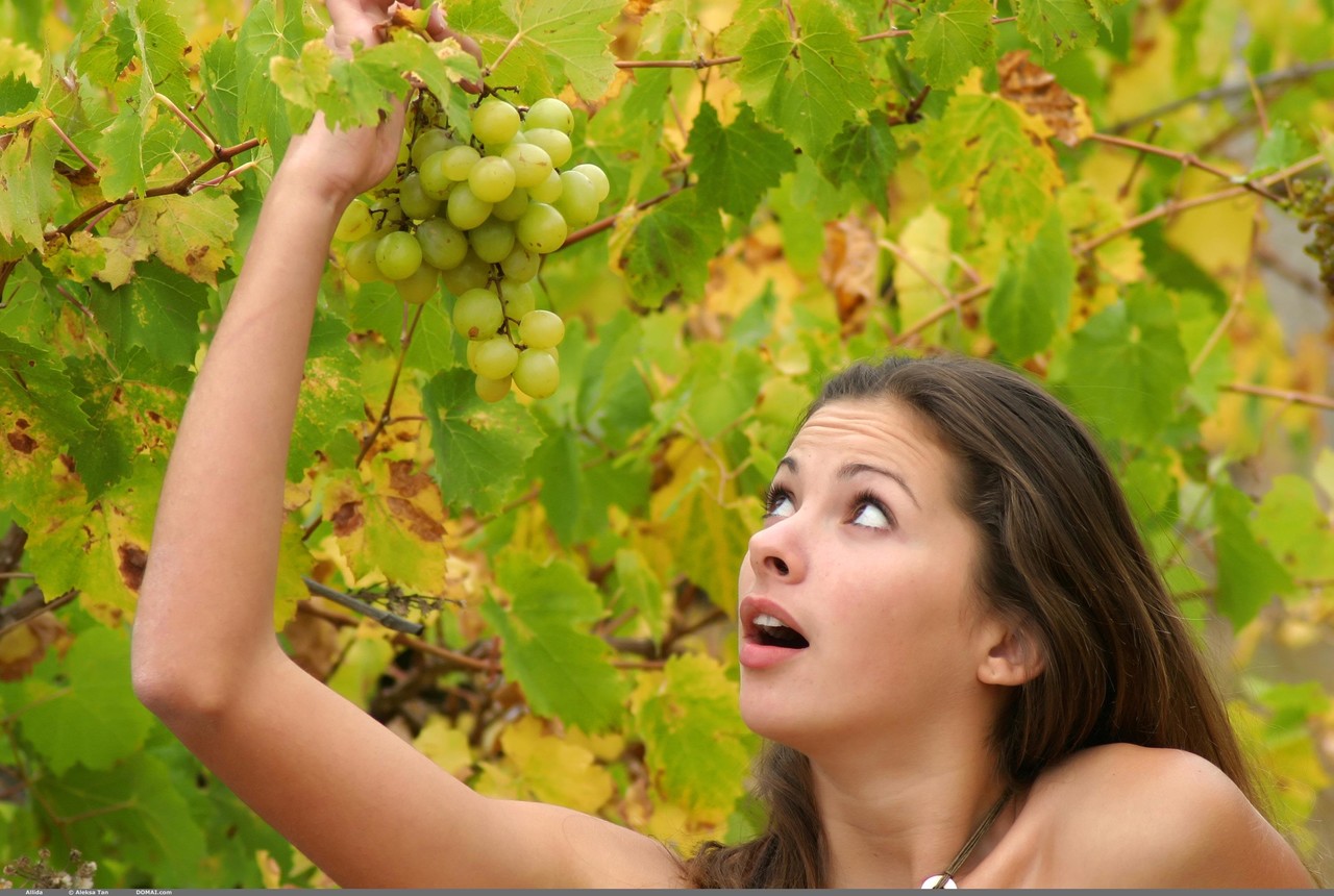 Naked Caucasian chick with a tight little ass poses with a bunch of grapes porn photo #428628390