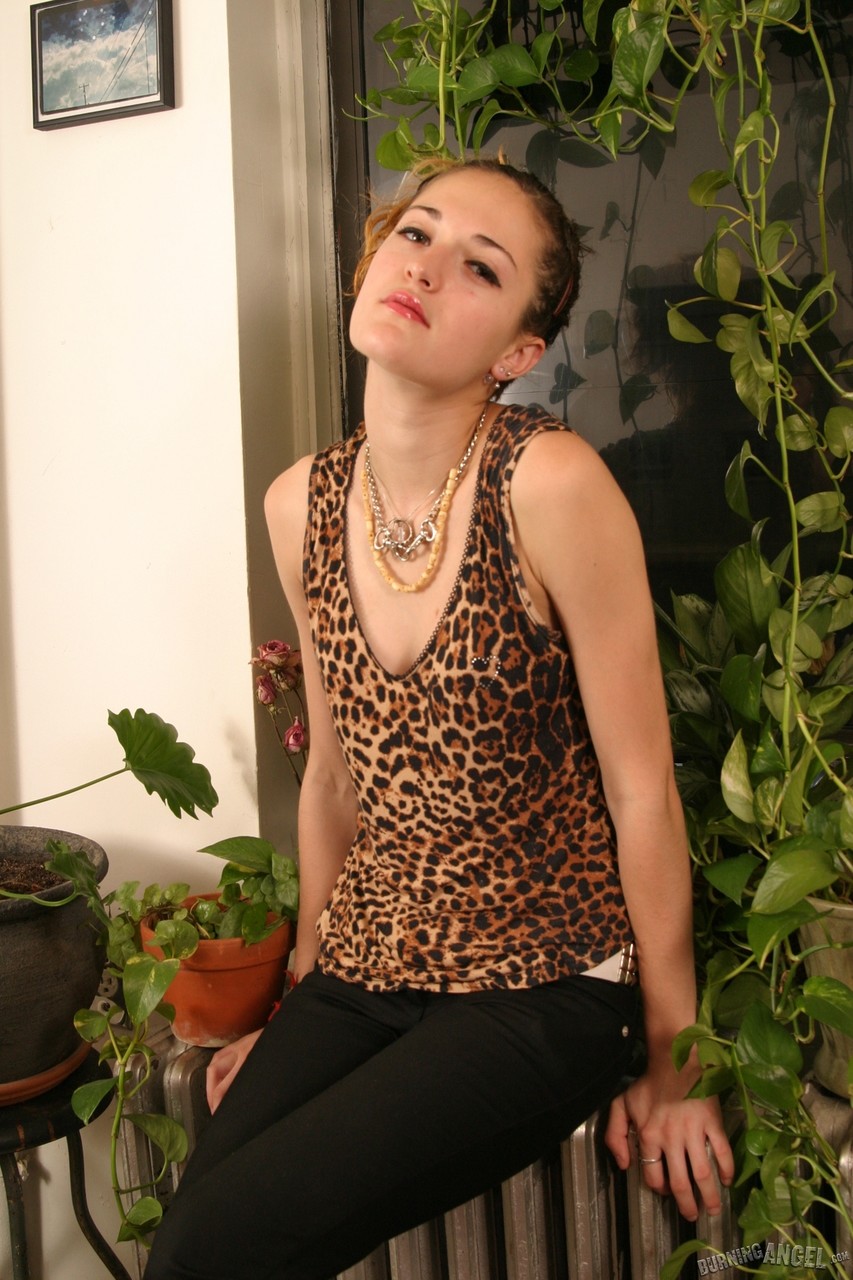 Pretty girl strips her leopard print shirt to reveal tiny tits & star tattoos photo porno #427898812