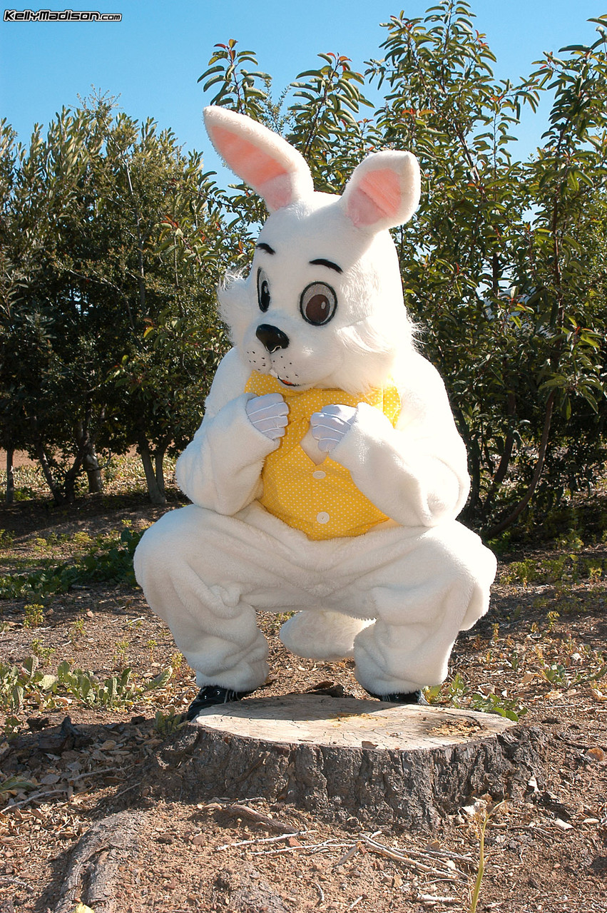 Busty MILF Kelly Madison hunts down the Easter bunny & sucks his big dick 色情照片 #425230951