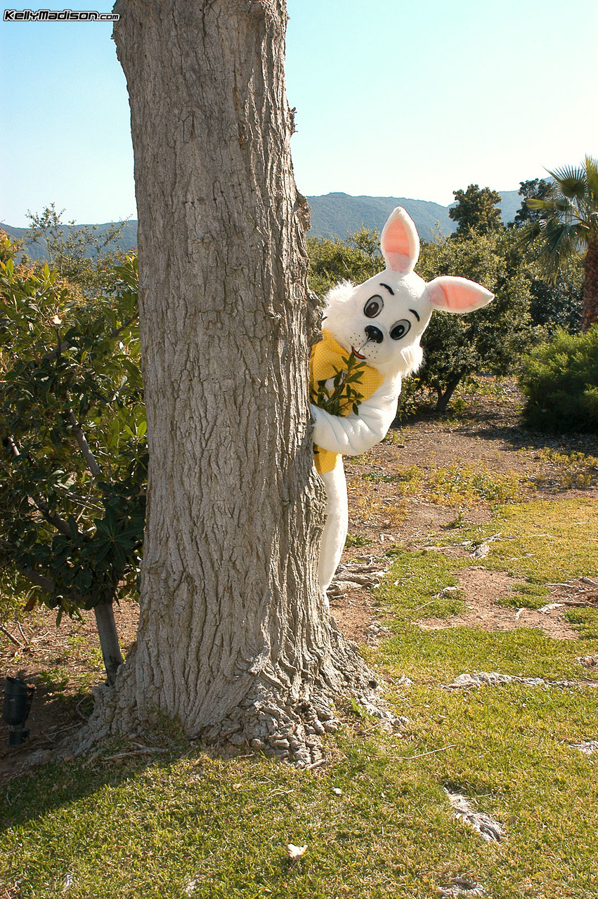 Busty MILF Kelly Madison hunts down the Easter bunny & sucks his big dick zdjęcie porno #425230960