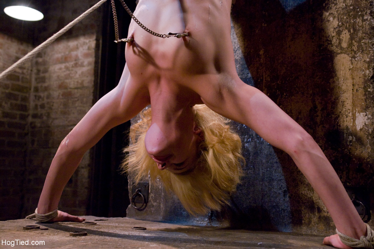 Slender blonde girl Ally Ann is hung upside down for ease of torturing photo porno #426965029