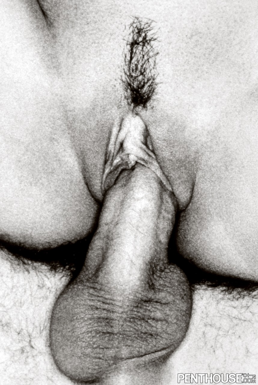 Hot brunette takes big cock in mouth & pussy in closeup black & white action porno fotoğrafı #427721378 | Penthouse Gold Pics, Centerfold, mobil porno