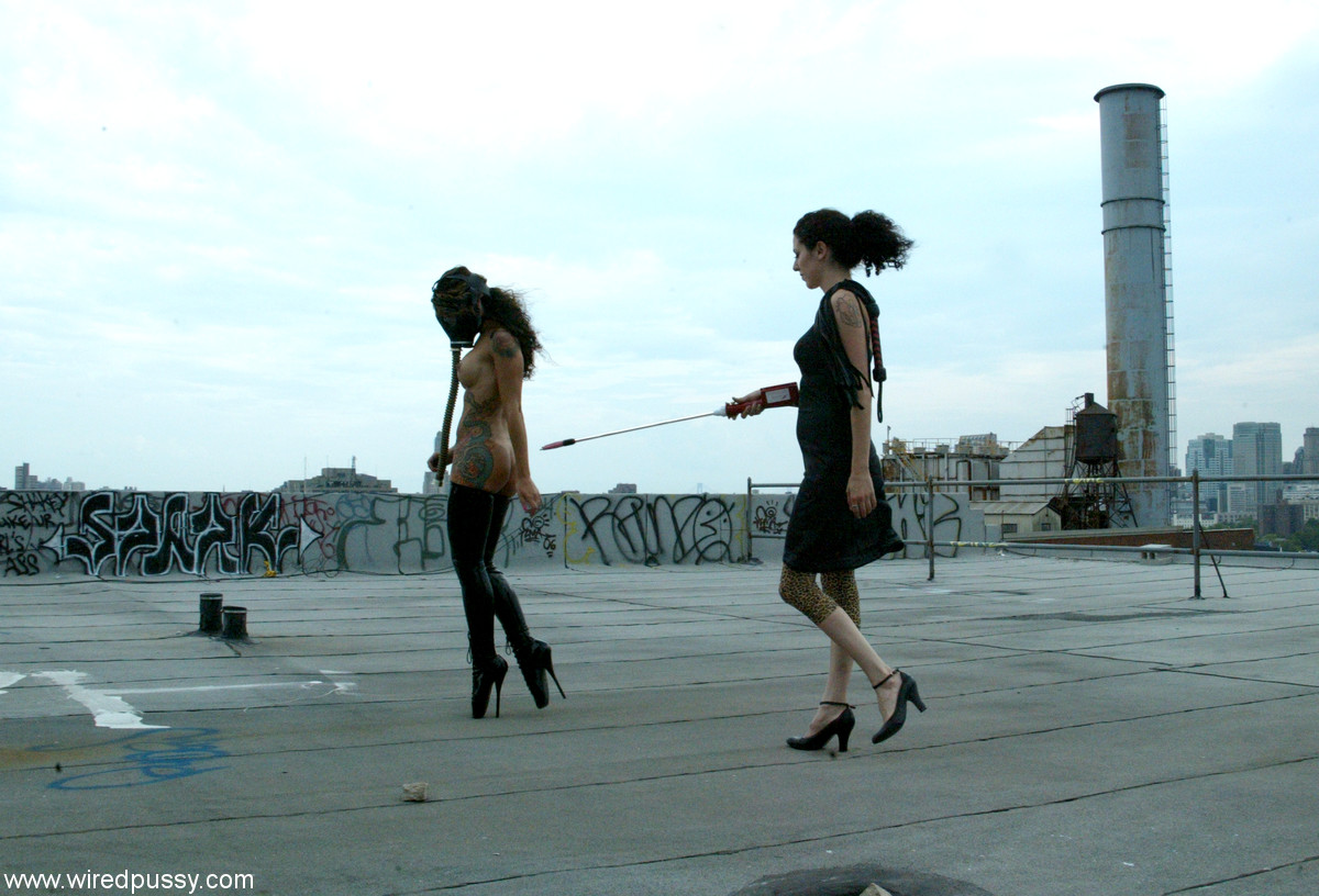 The Wired Pussy Mistress Hidest, Nadia Styles and Princess Donna Dolore are all represented in acting.