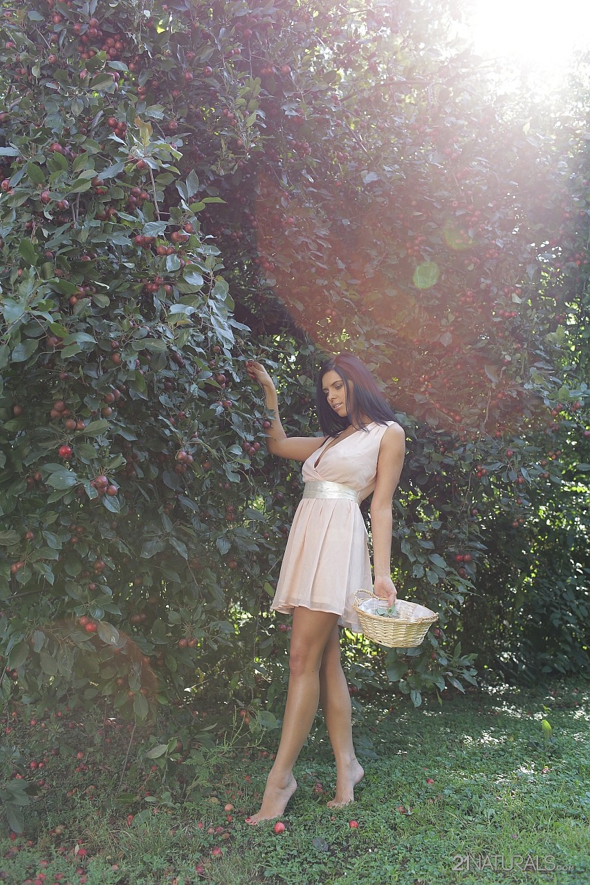 Elegant chick Kira Queen having amazing time picking fruits outdoors in nature porno fotoğrafı #428220296