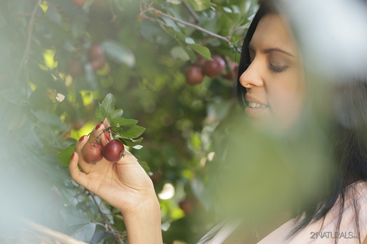 Elegant chick Kira Queen having amazing time picking fruits outdoors in nature ポルノ写真 #428220320