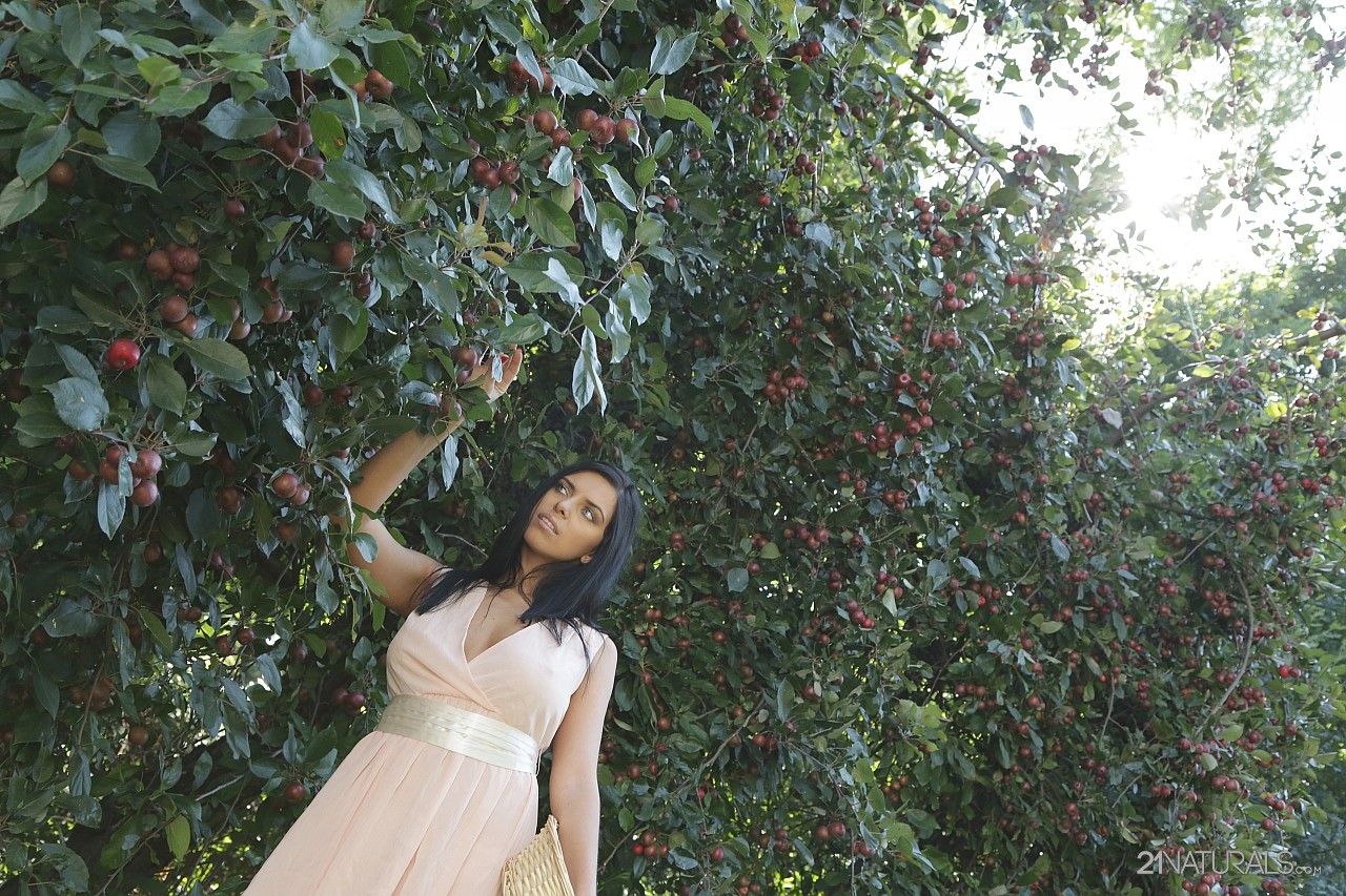 Elegant chick Kira Queen having amazing time picking fruits outdoors in nature 色情照片 #428220322